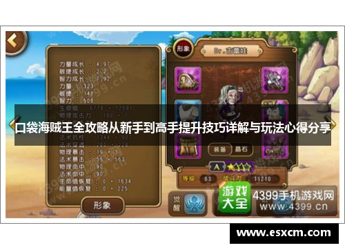 口袋海贼王全攻略从新手到高手提升技巧详解与玩法心得分享