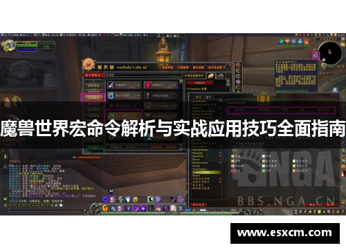 魔兽世界宏命令解析与实战应用技巧全面指南