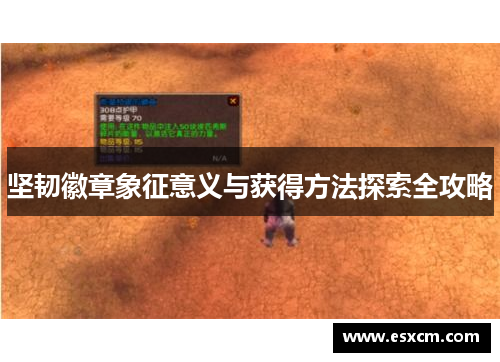 坚韧徽章象征意义与获得方法探索全攻略